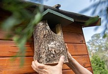 Nistkasten - Foto: Andrea Warnecke/dpa-tmn