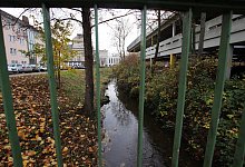 img_2082 - Patrick Bockwinkel