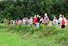 Wanderung - Marketing Extertal