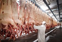 T&ouml;nnies Unternehmensgruppe - Foto: Bernd Thissen/dpa