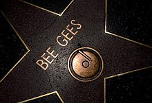 Flowers placed on Bee Gees star on Hollywood Walk of Fame - picture alliance / dpa