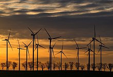 Windräder in einem Windpark bei Sonnenaufgang - Patrick Pleul/dpa
