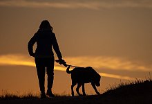 Frauchen mit Hund - Foto: Sebastian Gollnow/dpa