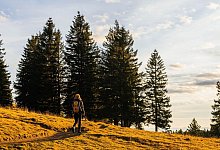 Eine Frau wandert am Feldberg - Philipp von Ditfurth/dpa/dpa-tmn