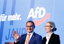 AfD-Bundesparteitag - Carsten Koall/dpa