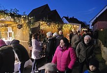 20241130_165946 - Dirk Steinmeier