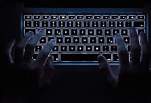 Im Netz - Foto: Silas Stein