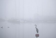 Nebel in Dortmund - Bernd Thissen/dpa