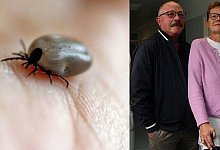 FSME-Erkankung - Janet König