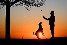 Sonnenaufgang in Hannover - Julian Stratenschulte/dpa