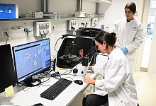 Deutsches Krebsforschungszentrum DKFZ - Bernd Wei&szlig;brod/dpa