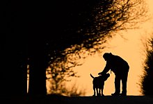 Spaziergang mit Hund - Julian Stratenschulte/dpa