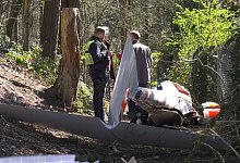 Segelflieger - Freitag Medien Gruppe