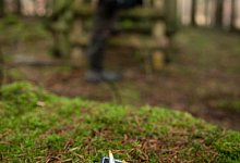 J&auml;ger soll m&ouml;glicherweise aus Versehen auf Pferd geschossen haben - Friso Gentsch/dpa