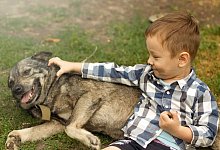 AOK warnt vor Haustierbissen - AOK/hfr