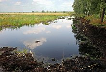 Wiedervern&auml;sstes Moor - picture alliance / dpa