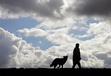 Gassigehen - Foto: Uwe Zucchi