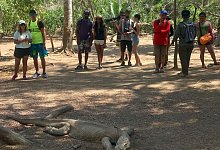 Insel Komodo - Christoph Sator/dpa