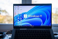 Der Schriftzug Windows 11 auf einem Laptop-Bildschirm - Zacharie Scheurer/dpa-tmn
