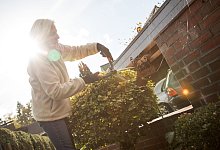 Eine Frau beim Rückschnitt - Christin Klose/dpa-tmn