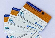 Organspendeausweis - Rolf Vennenbernd/dpa/Symbolbild