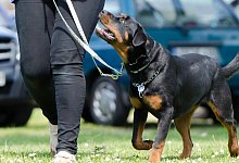 Einzelunterricht unter freiem Himmel ist erlaubt. - Symbolbild: Pixabay