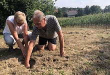 Tierr&auml;tsel - Thomas Reineke