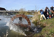 rba_0034 - Raphael Bartling