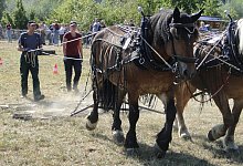 freilichtmuseum_2 - Hajo G&auml;rtner