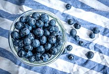 Heidelbeeren - Sina Schuldt/dpa