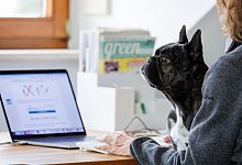 Eine Frau arbeitet mit einem Hund auf dem Schoß am Laptop - Daniel Karmann/dpa