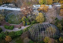 Berliner Zoo - Monika Skolimowska/dpa