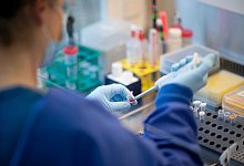 Monitoring von SARS-CoV-2 im Abwasser - Daniel Reinhardt/dpa