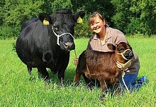 Rinder mit Familienanschluss - FOTO: ANNIKA FALK