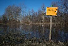 Biber stauen Bach zu kleinem See - Foto: Marijan Murat/dpa
