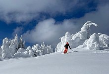 Abseits der Piste in Sun Peaks - Bernhard Krieger/dpa-tmn