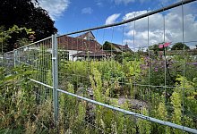 buscher-12 - Susanne Lahr