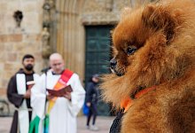 Tiersegnung vor dem Osnabr&uuml;cker Dom - Friso Gentsch/dpa