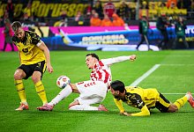 Borussia Dortmund - 1. FC Köln - Bernd Thissen/dpa