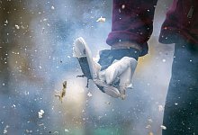 B&ouml;ller explodiert bei PK der Feuerwehr in der Hand einer Puppe - Soeren Stache/dpa/dpa-tmn