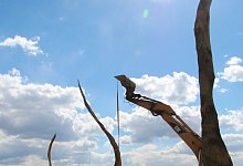 Neues Skulpturenprojekt: - Foto: Brand