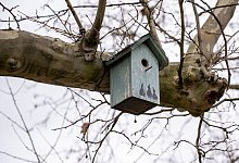 Nistk&auml;sten f&uuml;r Meisen - Foto: Peter Zschunke/dpa-Zentralbild/dpa