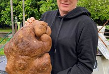 &laquo;Dug the Dominator&raquo; ist keine Kartoffel - Foto: Colin Craig-Brown/Colin Craig-Brown/AP/dpa