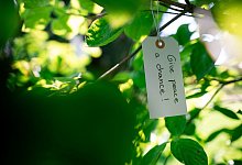 Ausstellung "Gl&uuml;ckliche Tage" - Fabian Strauch/dpa