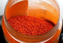 Lebensmittelfarbe macht Haut durchsichtig - Matthew Christiansen/U.S. National Science Foundation/dpa