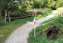 img_20220826_101052 - Elsbeth Waldeck