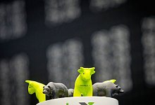 Gr&uuml;ner B&ouml;rsenbulle - Frank Rumpenhorst/dpa-tmn