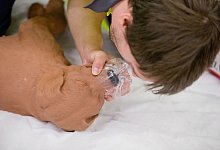 Erste Hilfe - Foto: Daniel Karmann