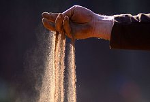 Trockenheit - Foto: Klaus-Dietmar Gabbert/dpa