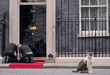 Kater Larry von 10 Downing Street - Alberto Pezzali/AP/dpa
